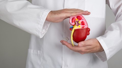 You are currently viewing Lifestyle Modifications for Acute Kidney Disease: A Comprehensive Guide