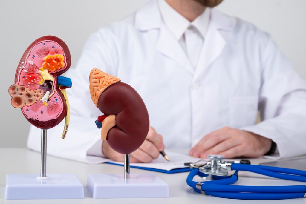 You are currently viewing Know More About Renal Biopsy