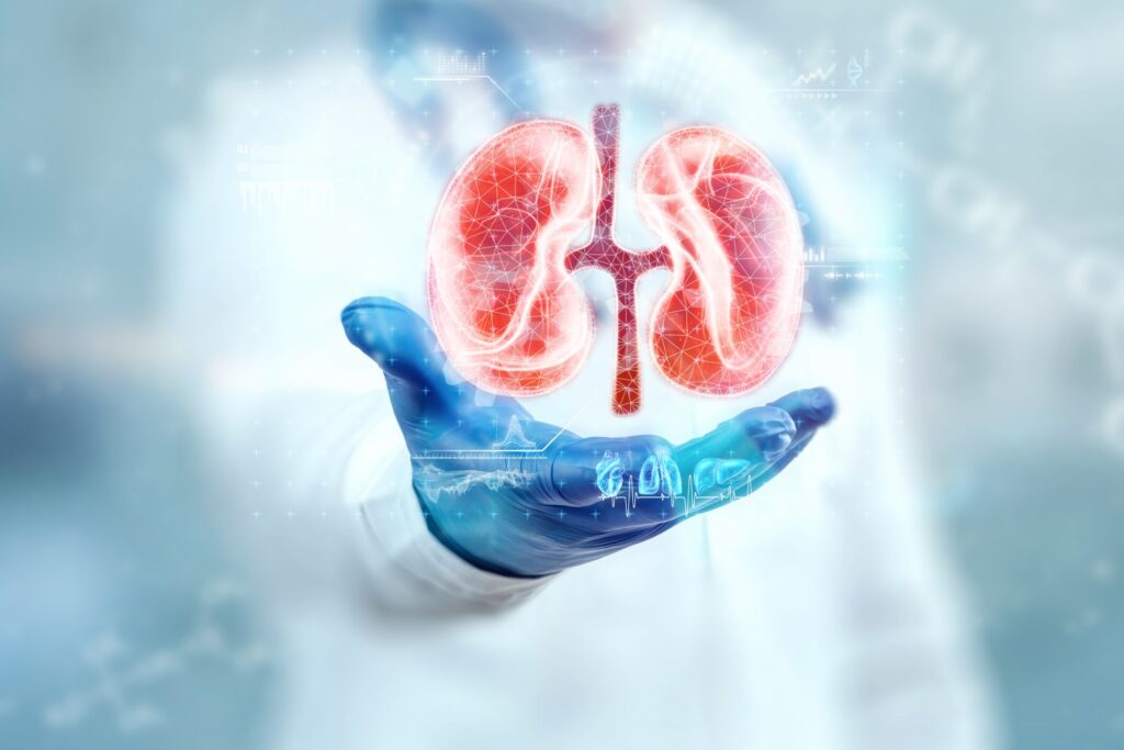 You are currently viewing Know About Acute pyelonephritis