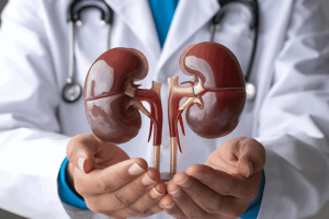 Kidney Transplantation: Know About It
