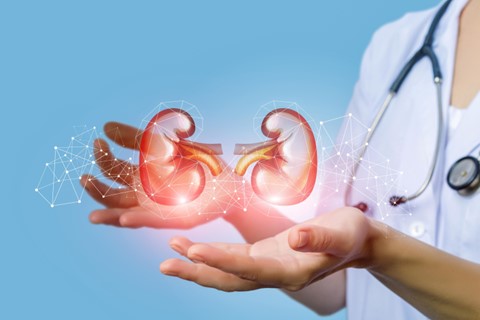 You are currently viewing Aftercare Tips for Retrograde Intrarenal Surgery (RIRS)