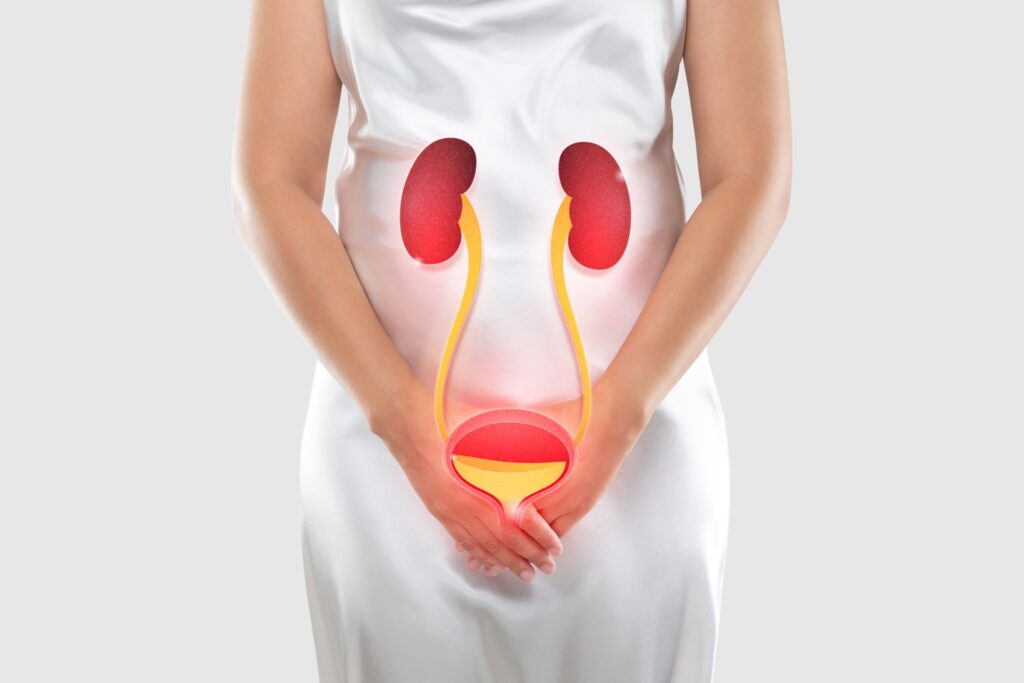 You are currently viewing Recurrent UTIs: When It Could be a Chronic UTI